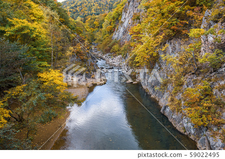 從定山溪二見吊橋在秋天的景色 59022495
