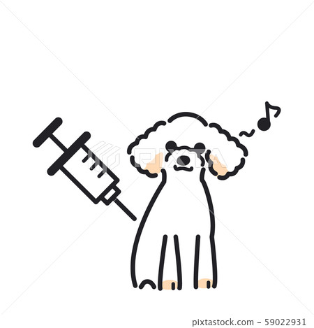 Injection dog no pain toy poodle Injection dog no pain toy poodle 59022931