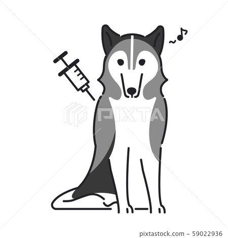 Injection dog no pain siberian husky Injection dog no pain siberian husky 59022936