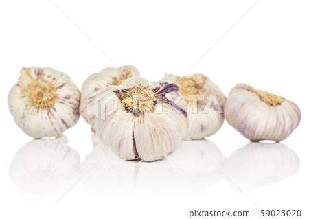 White aromatic garlic isolated on white White aromatic garlic isolated on white 59023020