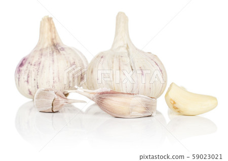 White aromatic garlic isolated on white 59023021