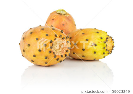Fresh orange opuntia isolated on white Fresh orange opuntia isolated on white 59023249