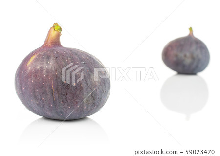 Fresh purple fig isolated on white 59023470