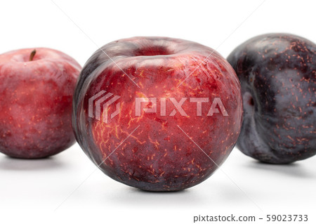Fresh red plum isolated on white 59023733
