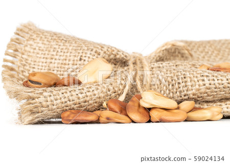 Fresh brown bean isolated on white Fresh brown bean isolated on white 59024134