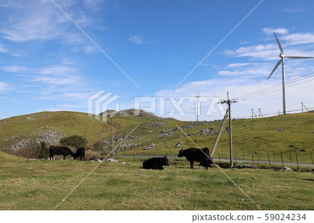 Shikoku Karst Heaven's Road Shikoku Karst Heaven's Road 59024234