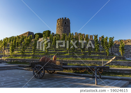 Rabati Castle Grape vine Akhaltsikhe Samtskhe Javakheti Georgia Europe landmark Rabati Castle Grape vine Akhaltsikhe Samtskhe Javakheti Georgia Europe landmark 59024615