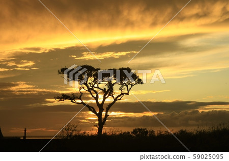 I think the sunset alone. 59025095