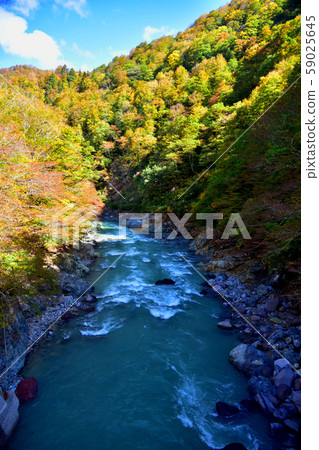 Nakatsugawa Valley in Akiyamago, Nagano Prefecture 59025645