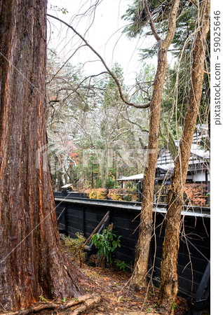 Samurai residence street corner in the early winter 59025646