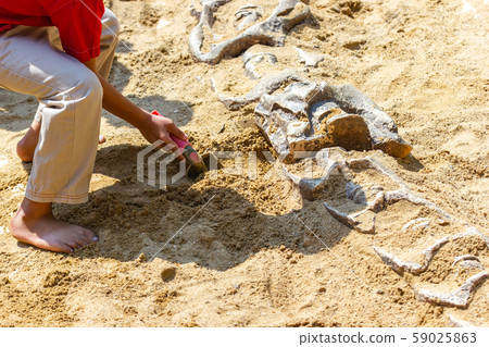 Children learning about, Excavating dinosaur 59025863