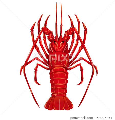 Watercolor lobster Watercolor lobster 59026235