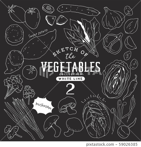 Simple and fashionable hand-painted vegetables set 02 / blackboard 59026385