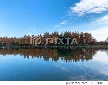 秋天 59026856