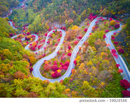 A leaf path A leaf path 59028588