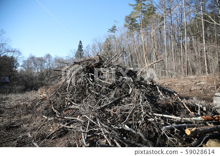deforestation deforestation 59028614