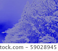 在多雪的山的風景 59028945