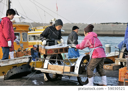 Fishing at the fishing port 59030521