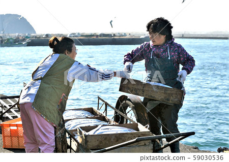 Fishing at the fishing port 59030536