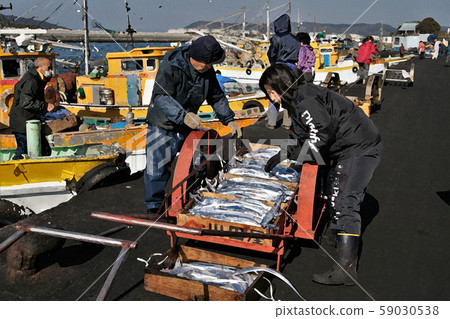 Fishing at the fishing port 59030538