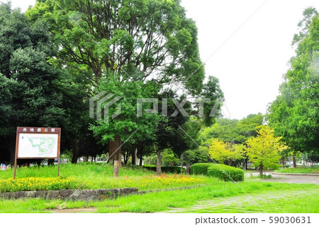 Oba區藤澤市Funazo公園的城市景觀 Oba區藤澤市Funazo公園的城市景觀 59030631