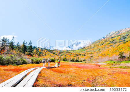 津輕池自然公園(秋天) 津輕池自然公園(秋天) 59033572