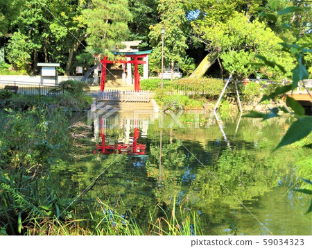 Senzoku Hachiman Shrine, Ota-ku, Tokyo Senzoku Hachiman Shrine, Ota-ku, Tokyo 59034323
