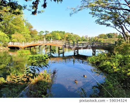 Ikezuki Bridge, Washokuike Park, Ota-ku, Tokyo Ikezuki Bridge, Washokuike Park, Ota-ku, Tokyo 59034324