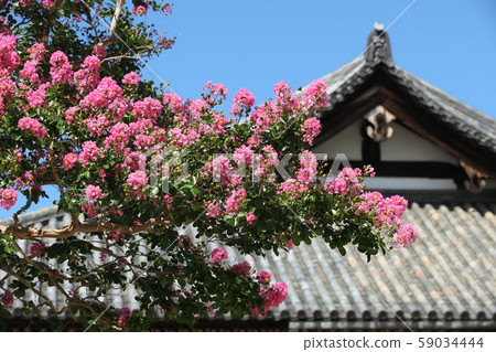 Hundred days of Todaiji Hokke-do Hundred days of Todaiji Hokke-do 59034444