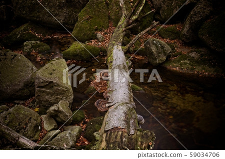 Waterfalls on the creek Waterfalls on the creek 59034706
