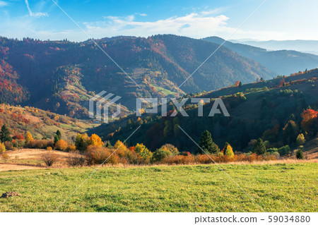 autumn sunny evening in mountain autumn sunny evening in mountain 59034880