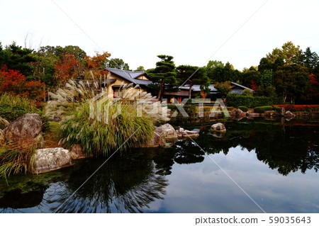 秋天的琵琶湖文化公園 秋天的琵琶湖文化公園 59035643