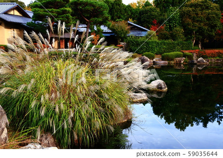 Autumn Biwako Cultural Park Autumn Biwako Cultural Park 59035644