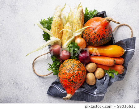 Various autumn vegetables. Harvest concept 59036633