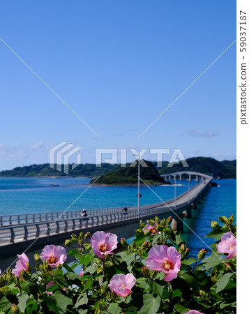 津島山口海 津島山口海 59037187