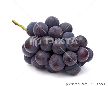 葡萄新Pione 59037271