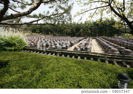 韓國風景 59037347