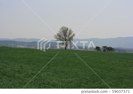 Korean landscape Korean landscape 59037371