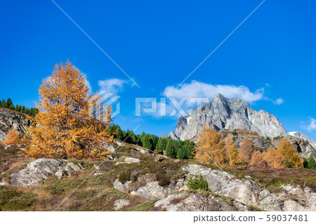 Rocky mountain in autumnal landscape with a gold 59037481