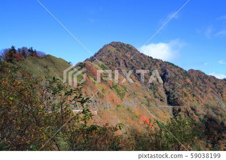 Looking at Nishikuro Forest from the Kagega Forest Road (Kochi Prefecture, Ehime Prefecture) Looking at Nishikuro Forest from the Kagega Forest Road (Kochi Prefecture, Ehime Prefecture) 59038199