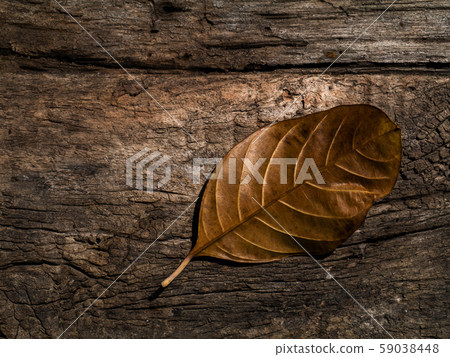 Close up brown wood texture background in vintage 59038448