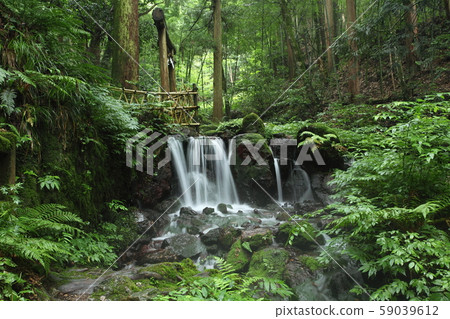 Water fall waterfall 59039612