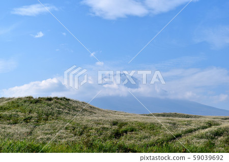 富士Su野的Susuki和富士山 富士Su野的Susuki和富士山 59039692