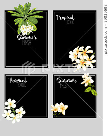Print 59039698