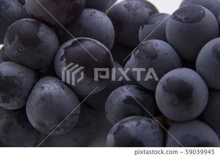 Grape 59039945