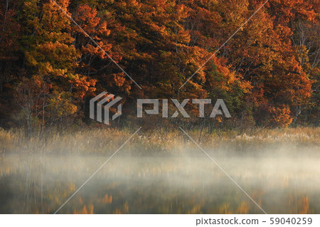 Gozaishonuma of autumn leaves 59040259