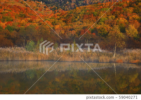 Gozaishonuma of autumn leaves 59040271