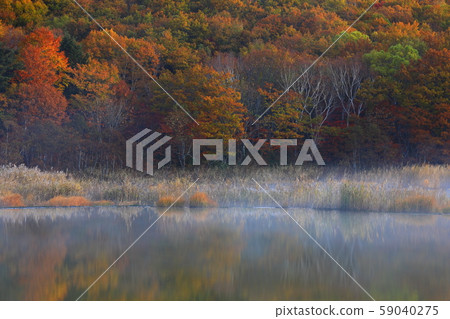 Gozaishonuma of autumn leaves 59040275