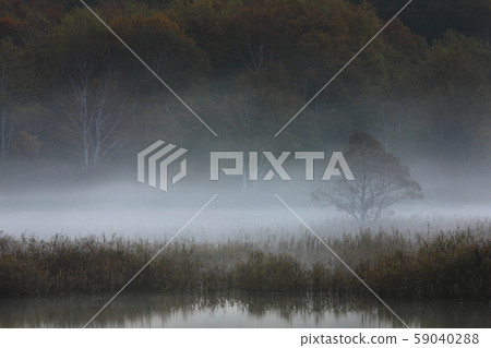 秋天的葉子Gozaishonuma 59040288