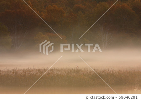 秋天的葉子Gozaishonuma 59040291